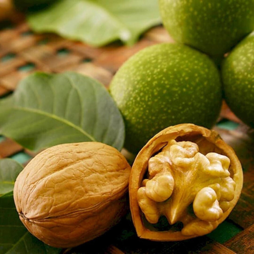 Pom Fructifer Anul 4 - Nuc Gigant "Chandler"