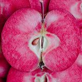 Pom Fructifer Anul 4 - Mar "Red Love" PE ROD 180-200cm